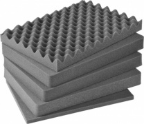 iM2450 Foam Set